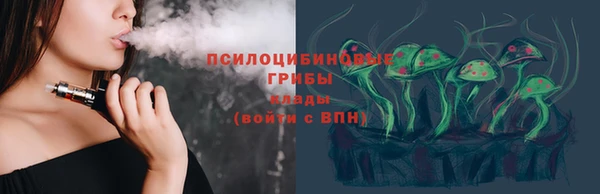 ГАЛЛЮЦИНОГЕННЫЕ ГРИБЫ Верхнеуральск