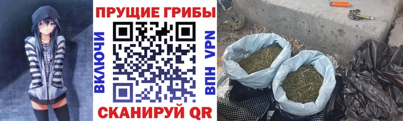 Галлюциногенные грибы мухоморы  Тобольск 